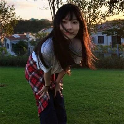 甜梦猫